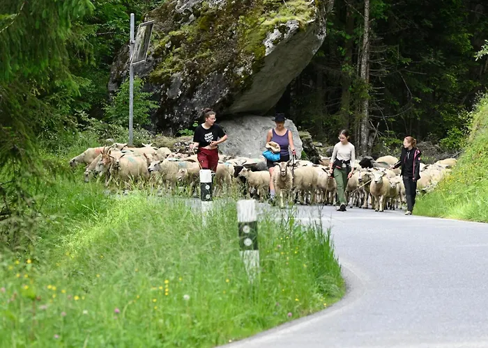 Agritourisme De Montagnier