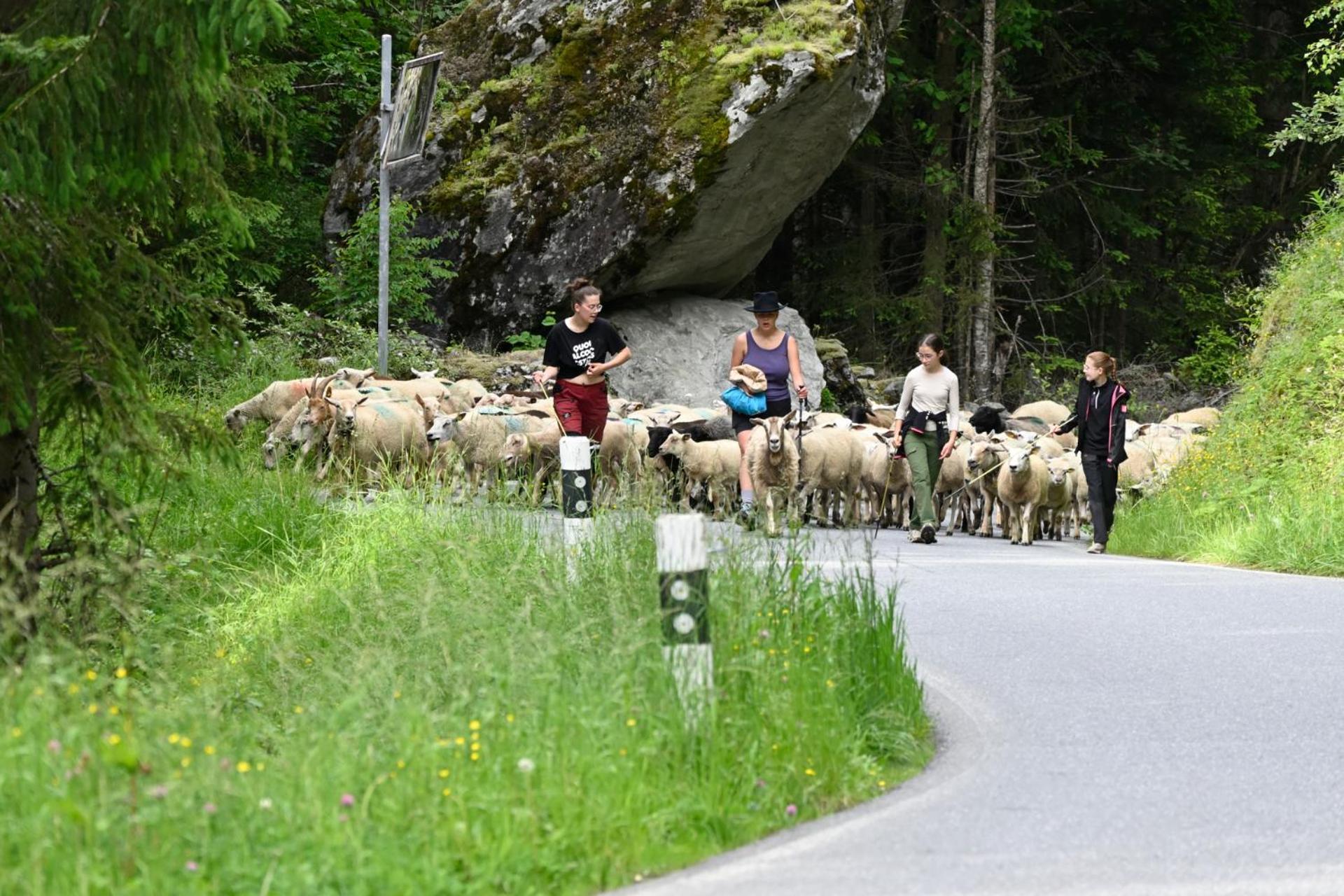 Bauernhof Agritourisme De Montagnier